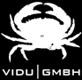 VIDU